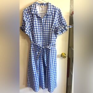 Blue gingham checkered lined dress